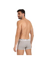 Wooster Sada tří - pánské boxerky Wooster šedé