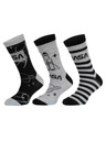 Trenýrkárna Sada tří - dětské ponožky NASA vícebarevné (39269/grey)
