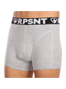 Represent Pánské trenky EXCLUSIVE SPORT GREY Represent