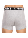Represent Pánské trenky EXCLUSIVE SPORT GREY Represent