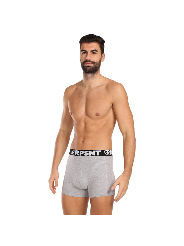Represent Pánské trenky EXCLUSIVE SPORT GREY Represent