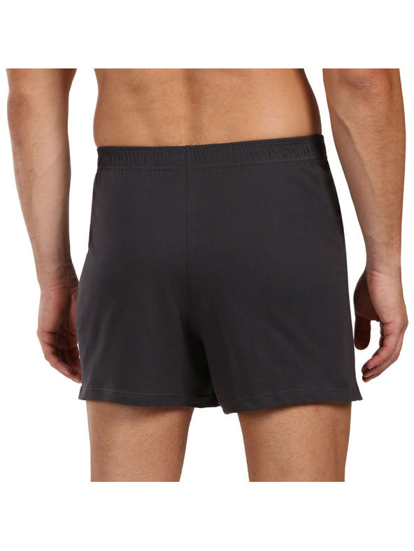 andrie Pánské trenky Andrie šedé (PS 5877/grey)