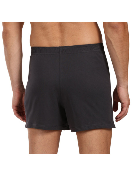 andrie Pánské trenky Andrie šedé (PS 5877/grey)