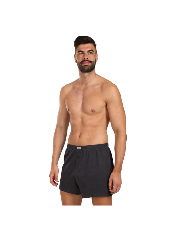 andrie Pánské trenky Andrie šedé (PS 5877/grey)