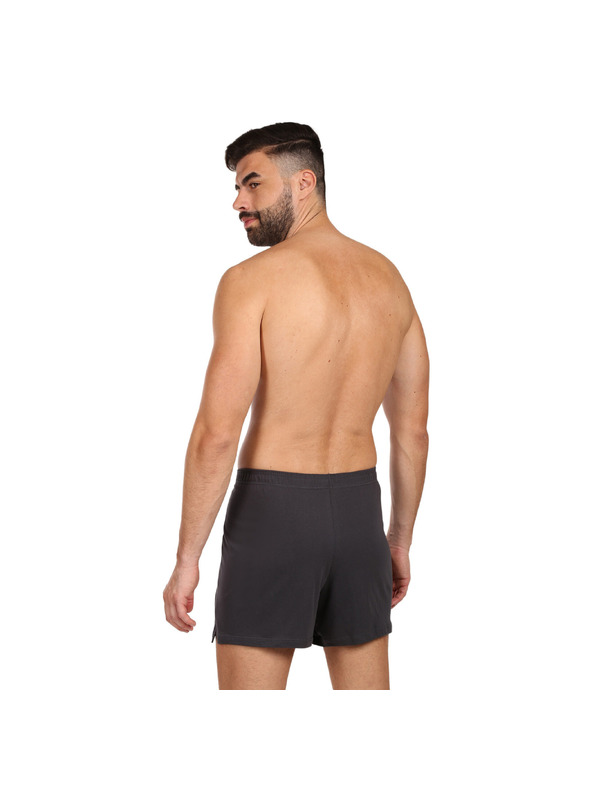 andrie Pánské trenky Andrie šedé (PS 5877/grey)