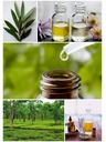 Caribbean Sun Čisticí sůl na mořské houby Caribbean Sun Tea Tree 400 g