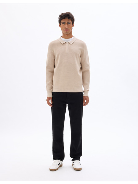 Celio Svetr Leviatan