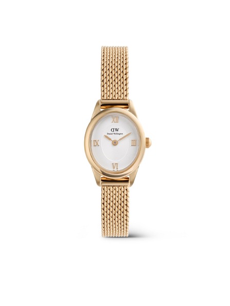Daniel Wellington Dámské hodinky Daniel Wellington Ophelia Mini mesh oválné DW00100940