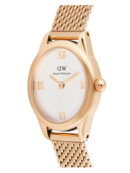 Daniel Wellington Dámské hodinky Daniel Wellington Ophelia Mini mesh oválné DW00100940