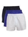 Calvin Klein Sada tří - pánské trenky Calvin Klein vícebarevné