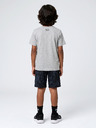 Under Armour Chlapecký set Under Armour UA PRINTED SS SHORT SET-GRY
