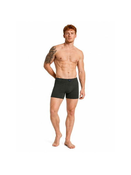 VoXX Pánské boxerky VoXX MERINOWOOL zelené