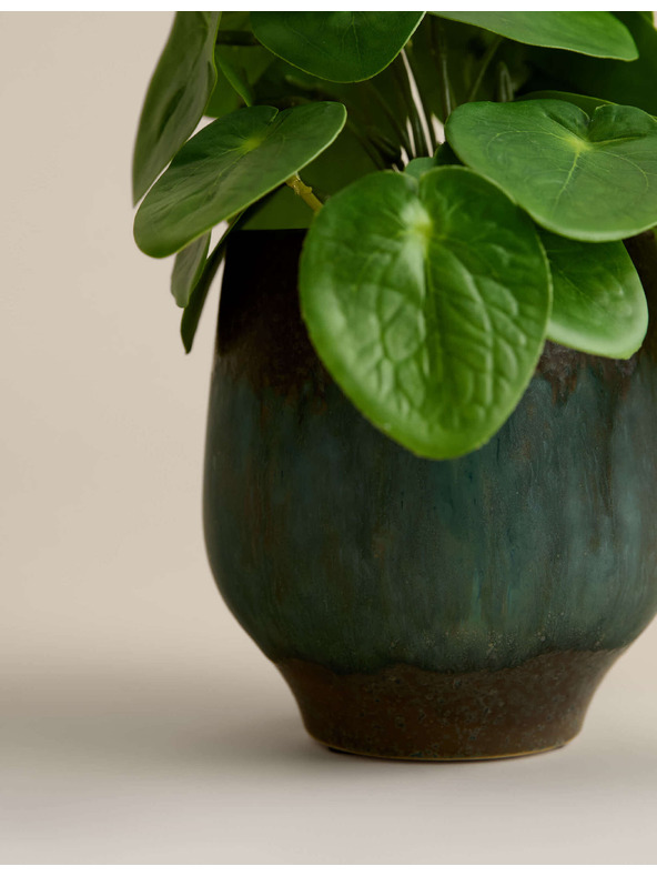 Marks & Spencer Umělá rostlina pilea v keramickém květináči Marks & Spencer zelená
