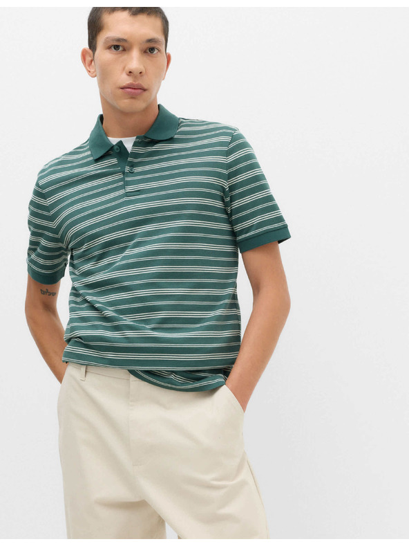 Marks & Spencer Pruhovaná polokošile z čisté bavlny barvené v přízi Marks & Spencer zelená