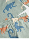 Marks & Spencer Pyžamo z čisté bavlny s motivem dinosaura (1–16 let) Marks & Spencer zelená